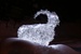 bouquetin-val-thorens-1.JPG